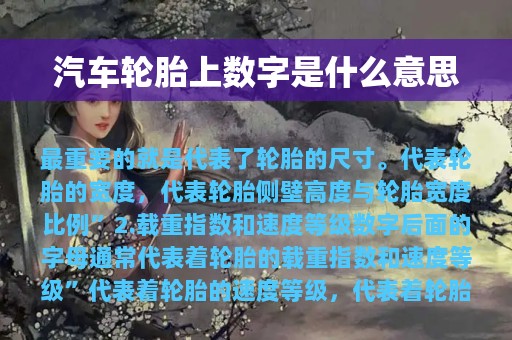 汽车轮胎上数字是什么意思