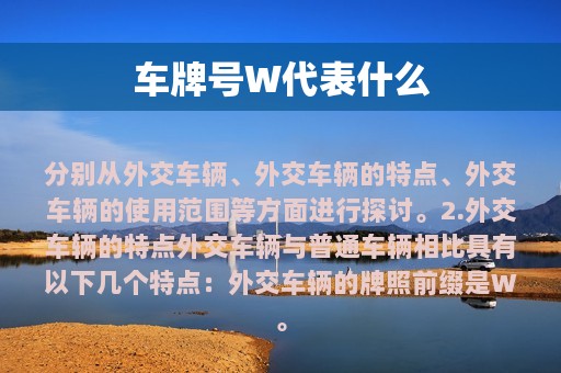 车牌号W代表什么