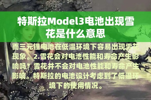 特斯拉Model3电池出现雪花是什么意思