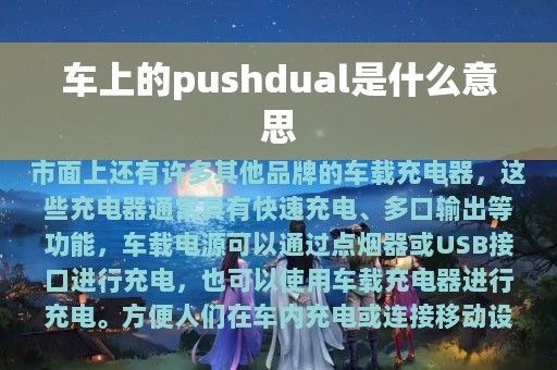 车上的pushdual是什么意思