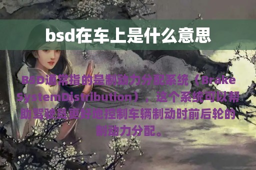 bsd在车上是什么意思