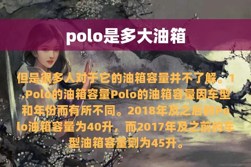 polo是多大油箱