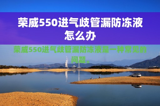 荣威550进气歧管漏防冻液怎么办