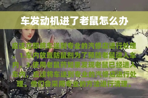 车发动机进了老鼠怎么办