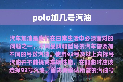 polo加几号汽油