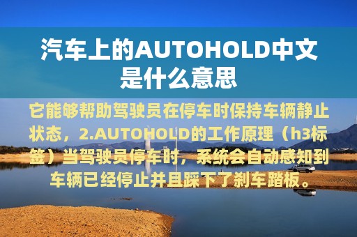 汽车上的AUTOHOLD中文是什么意思