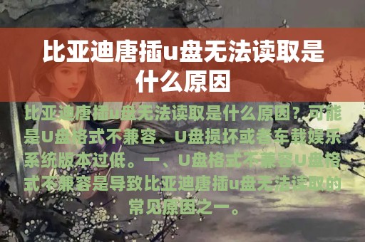 比亚迪唐插u盘无法读取是什么原因