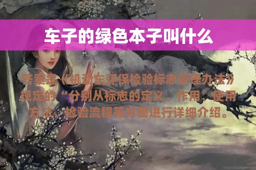 车子的绿色本子叫什么