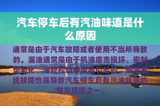 汽车停车后有汽油味道是什么原因