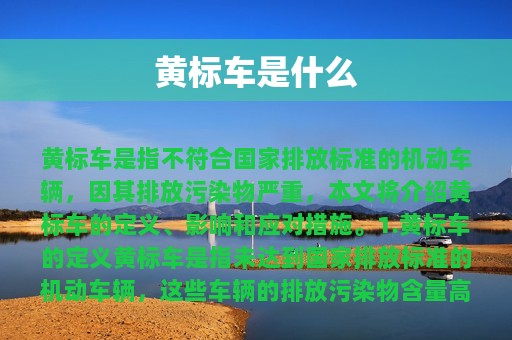 黄标车是什么