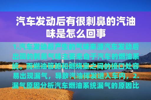 汽车发动后有很刺鼻的汽油味是怎么回事