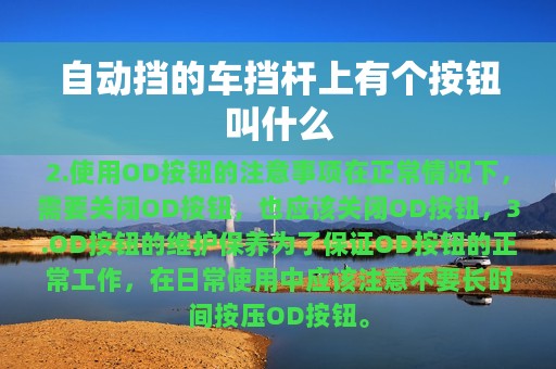 自动挡的车挡杆上有个按钮叫什么