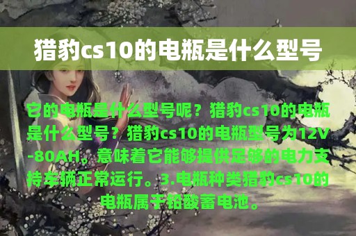 猎豹cs10的电瓶是什么型号