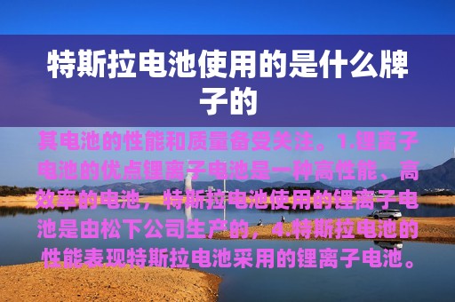 特斯拉电池使用的是什么牌子的