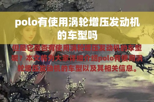 polo有使用涡轮增压发动机的车型吗