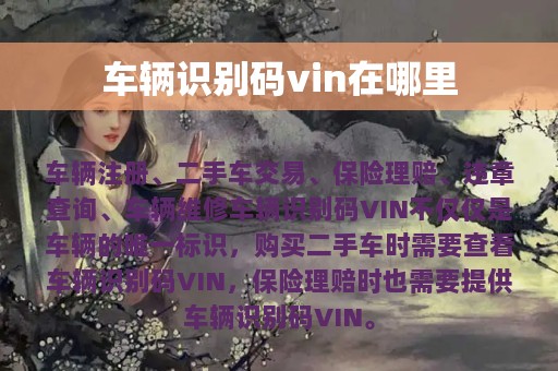 车辆识别码vin在哪里