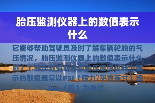 胎压监测仪器上的数值表示什么