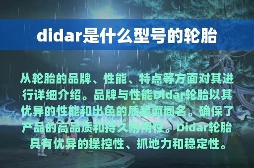 didar是什么型号的轮胎