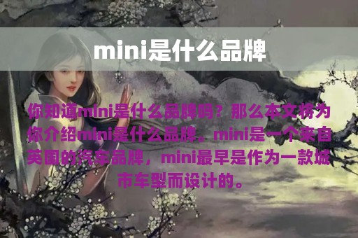 mini是什么品牌