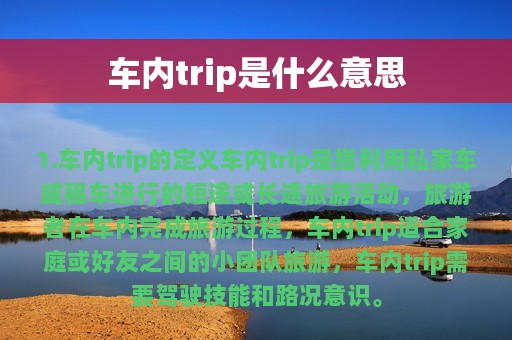 车内trip是什么意思