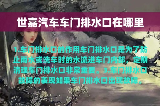 世嘉汽车车门排水口在哪里