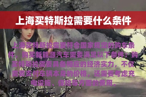 上海买特斯拉需要什么条件