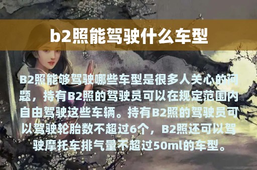 b2照能驾驶什么车型