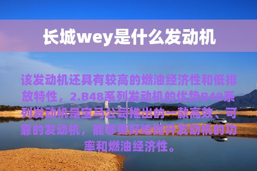 长城wey是什么发动机