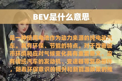 BEV是什么意思