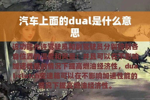 汽车上面的dual是什么意思