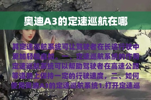 奥迪A3的定速巡航在哪