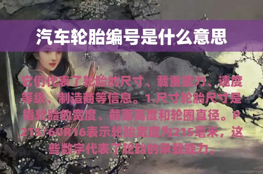 汽车轮胎编号是什么意思