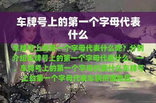 车牌号上的第一个字母代表什么