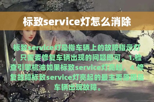 标致service灯怎么消除