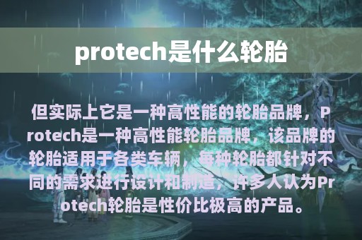 protech是什么轮胎