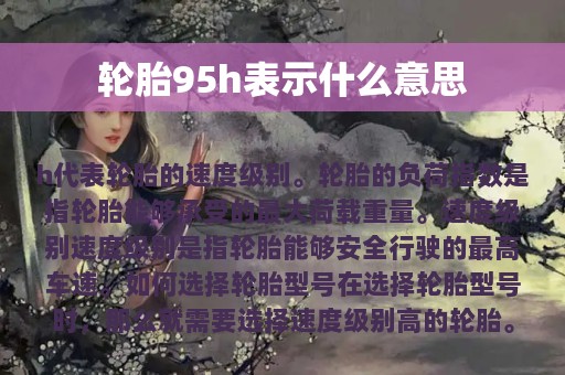 轮胎95h表示什么意思