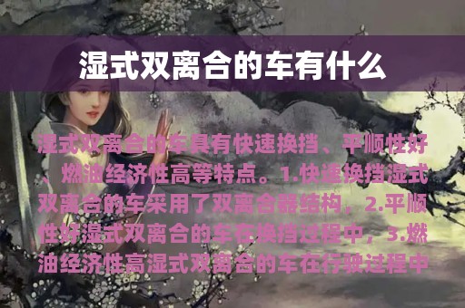 湿式双离合的车有什么