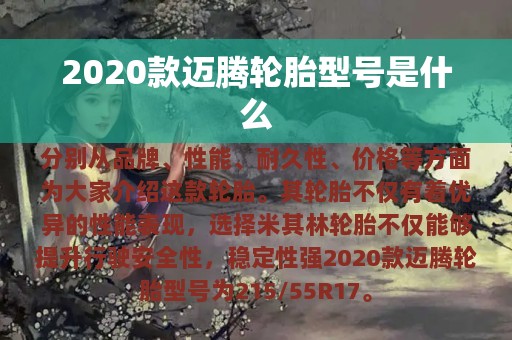 2020款迈腾轮胎型号是什么