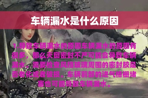 车辆漏水是什么原因