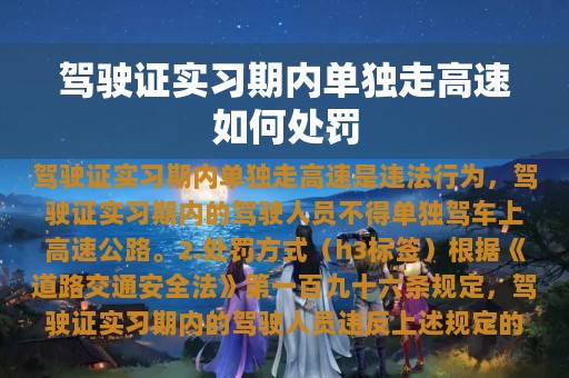 驾驶证实习期内单独走高速如何处罚