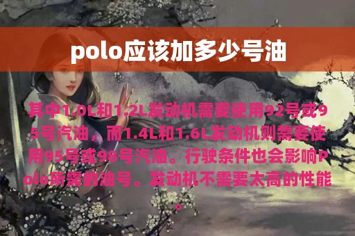 polo应该加多少号油