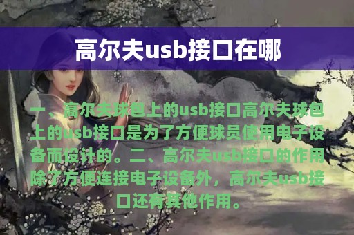 高尔夫usb接口在哪