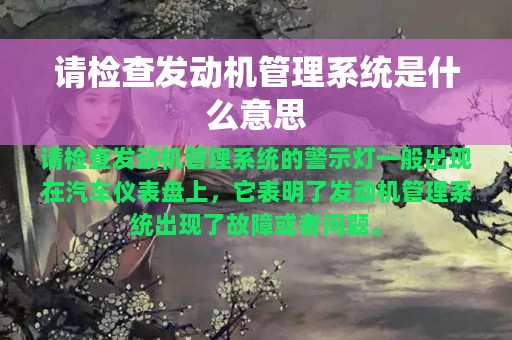 请检查发动机管理系统是什么意思