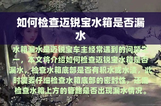 如何检查迈锐宝水箱是否漏水