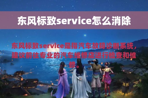 东风标致service怎么消除