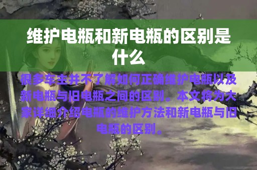 维护电瓶和新电瓶的区别是什么