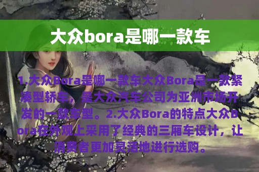 大众bora是哪一款车