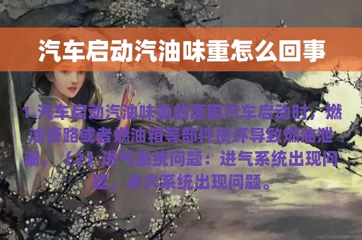 汽车启动汽油味重怎么回事