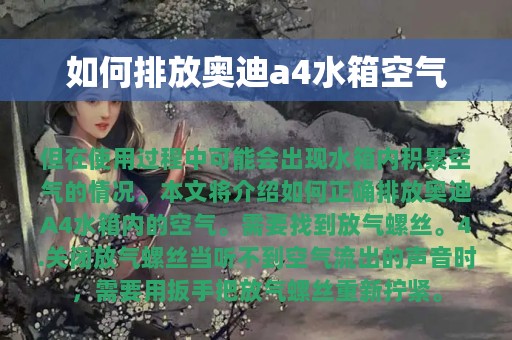 如何排放奥迪a4水箱空气