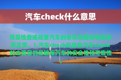 汽车check什么意思